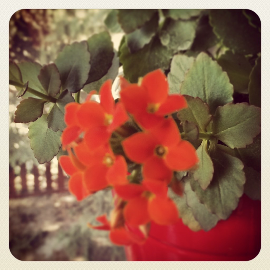 The Tumors Are Getting&nbsp;Smaller!