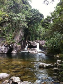 182942_1285324908722_652762_n