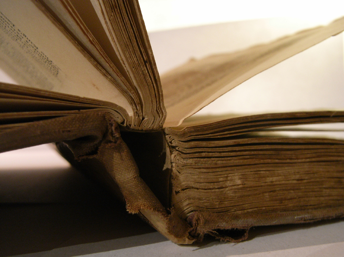 Parenting and its&nbsp;Perks