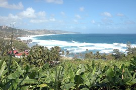 Bathsheba