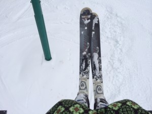 My old Dynastar skis...
